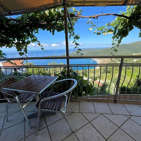 Apartments Nikvik Budva Kültér fotó